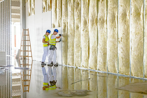 Types of Insulation We Offer in Palacios, TX